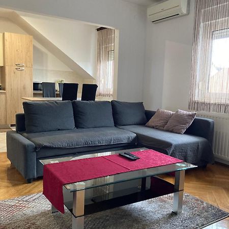 Apartments "Pavic" Near Zagreb Airport Velika Gorica Exteriér fotografie